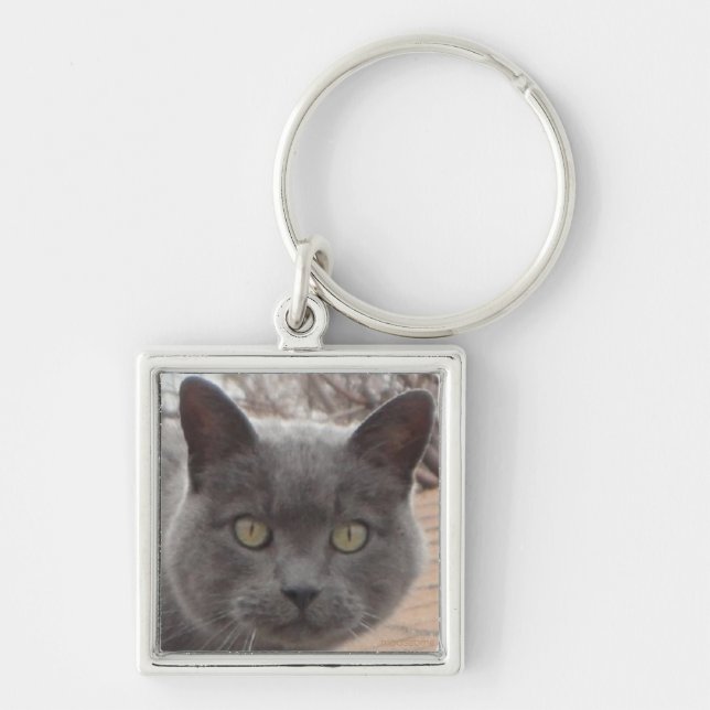 Grey cat roof keychain (Front)