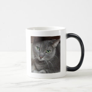 Grey Cat Russian Blue Magic Mug