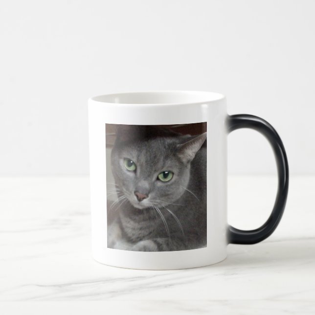 Grey Cat Russian Blue Magic Mug (Right)