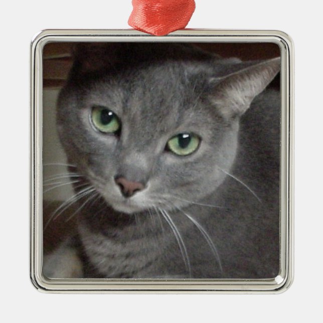 Grey Cat Russian Blue Metal Ornament (Front)