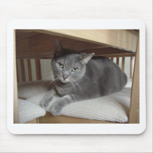 Grey Cat/Russian Blue Mouse Pad