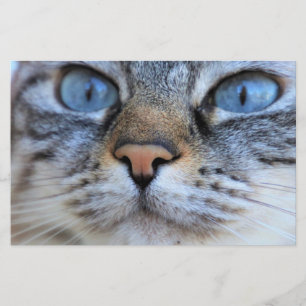 Grey Cat Stationery