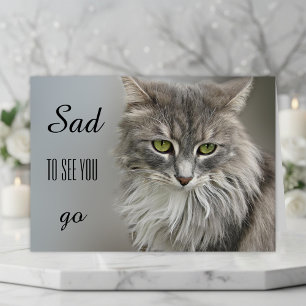 Grey Cat Sympathy Greeting Card