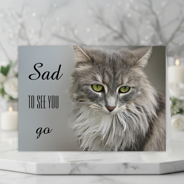 Grey Cat Sympathy Greeting Card (A beautiful cat sympathy card to express your compassion for the loss of a sweet kitty)