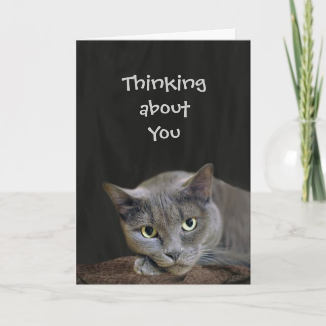 Grey cat thinking about you card (Front)