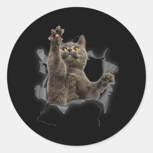 Grey Cat Torn Cloth Funny Cat Dad Cat Mom Cat Classic Round Sticker