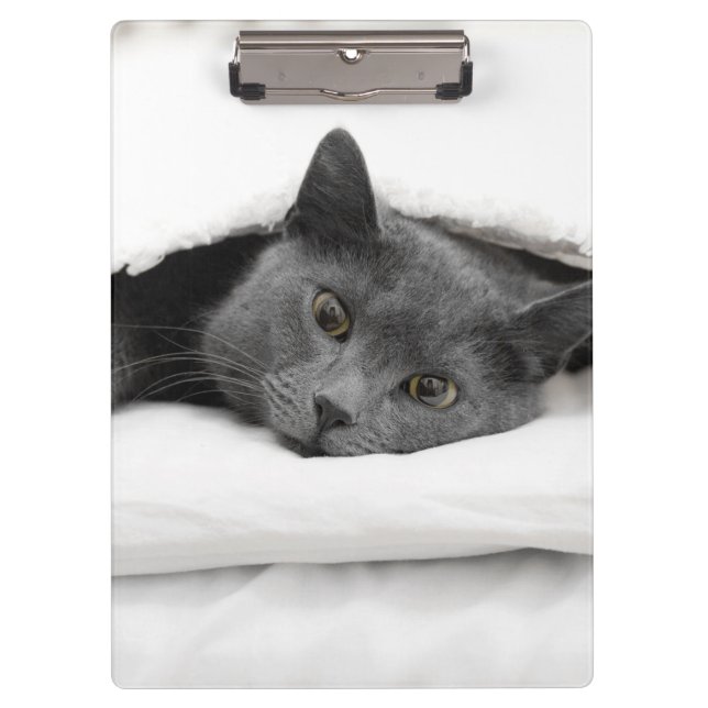 Grey Cat Under White Blanket Clipboard (Front)