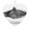 Grey Cat Under White Blanket