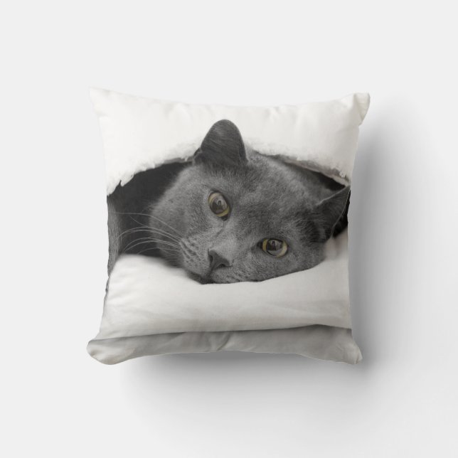 Grey Cat Under White Blanket Throw Pillow (Front)