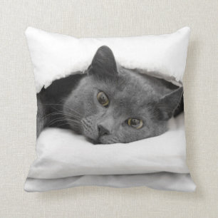 Grey Cat Under White Blanket Throw Pillow