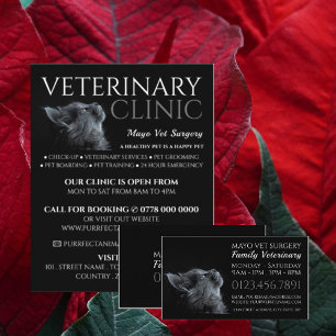 Grey Cat, Veterinarian, Veterinary Service Flyer