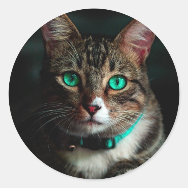 Grey cat with green eyes classic round sticker (Front)