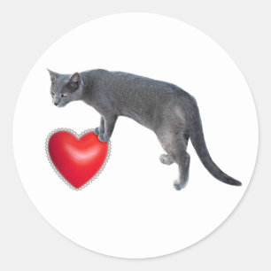 Grey Cat with Red Heart Stickers