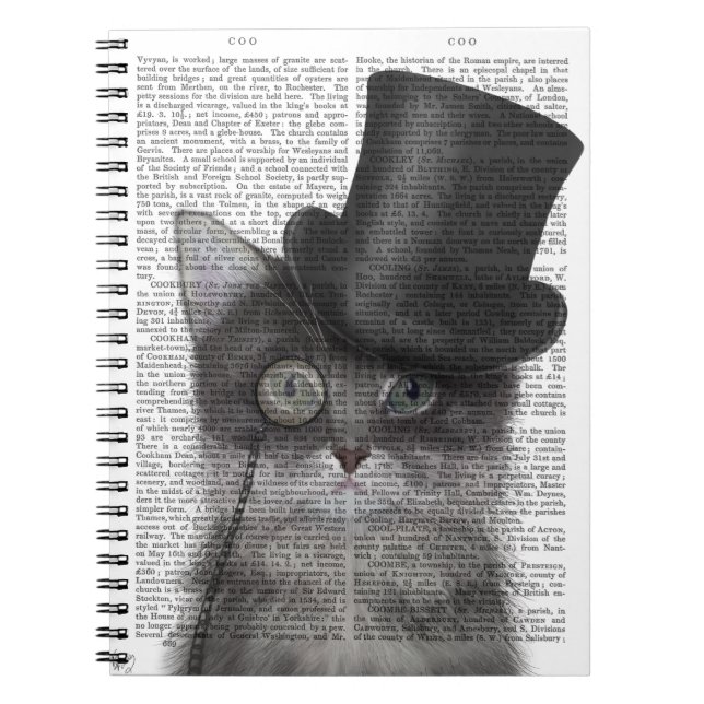 Grey Cat with Top Hat Notebook (Front)