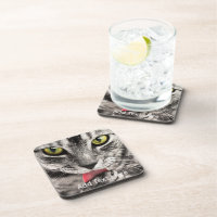 Grey Cat with Yellow Eyes Licking Paw