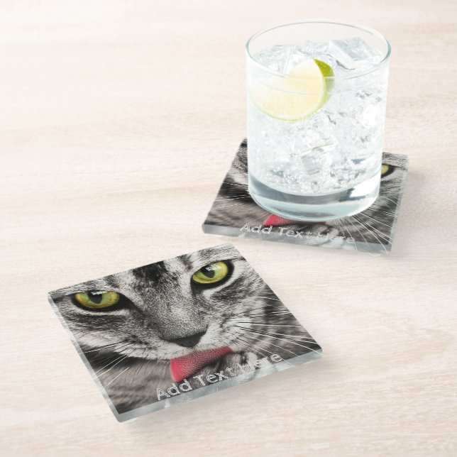 Grey Cat with Yellow Eyes Licking Paw Glass Coaster (Angled)