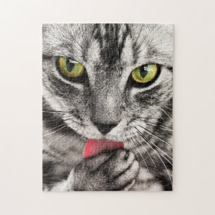Grey Cat with Yellow Eyes Licking Paw Jigsaw Puzzle
