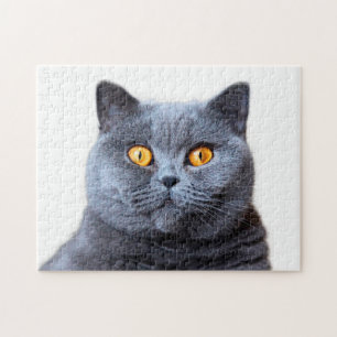 Grey cat yellow eyes jigsaw puzzle