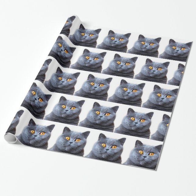 Grey cat yellow eyes wrapping paper (Unrolled)