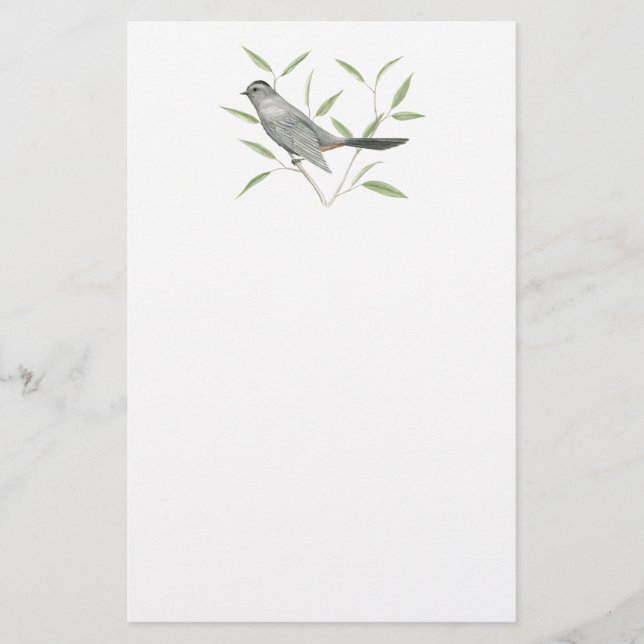 Grey Catbird Bird Art Stationery (Front)
