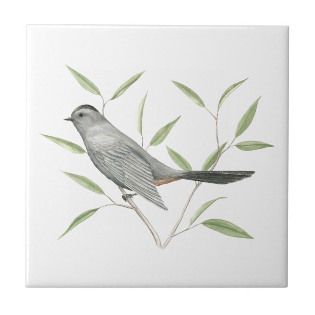 Grey Catbird Bird Art Tile (Front)