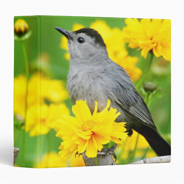Grey Catbird on wooden fence Binder (Front/Spine)