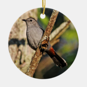 Grey Catbird Ornament