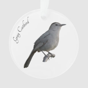 Grey Catbird Ornament