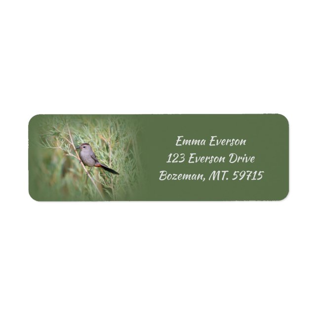 Grey Catbird Return Address Label (Front)