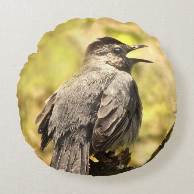 Grey Catbird Singing His Song Round Pillow (Front)