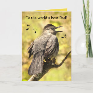Grey Catbird Sings a Fathers Day Card