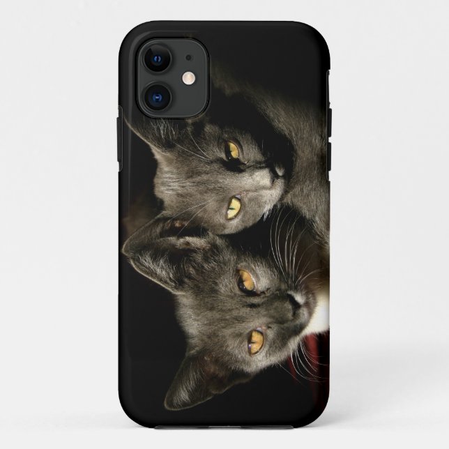 Grey Cats Photo iPhone SE + iPhone 5/5S Case (Back)