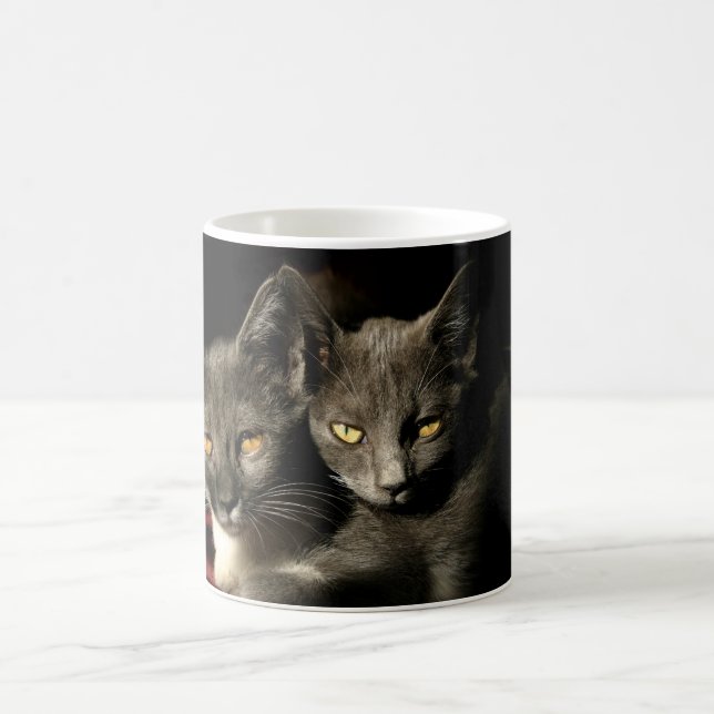 Grey Cats Photo Mug (Center)