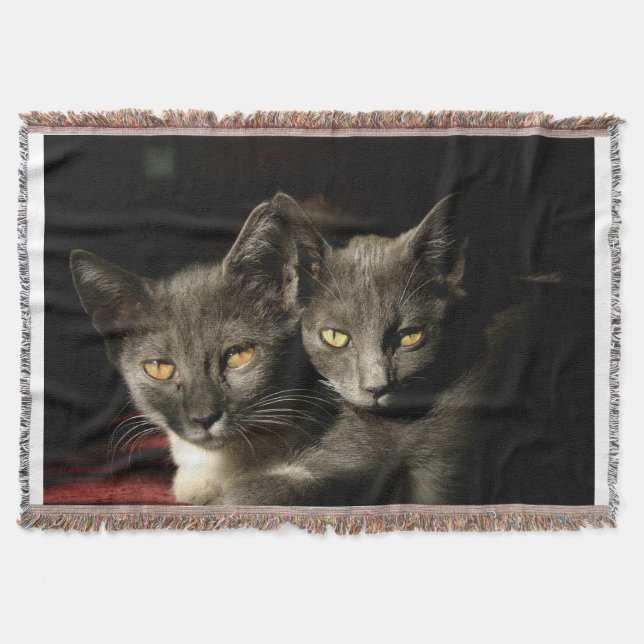 Grey Cats Photo Throw Blanket (Front)