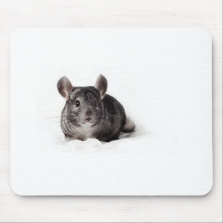 Grey Chinchilla Cute in Blanket Mouse Pad