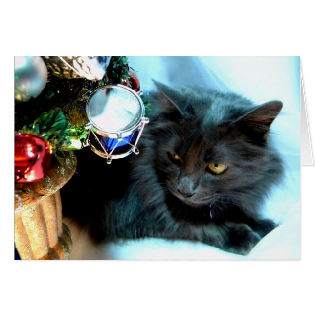 Grey Christmas Kitty II (Front Horizontal)