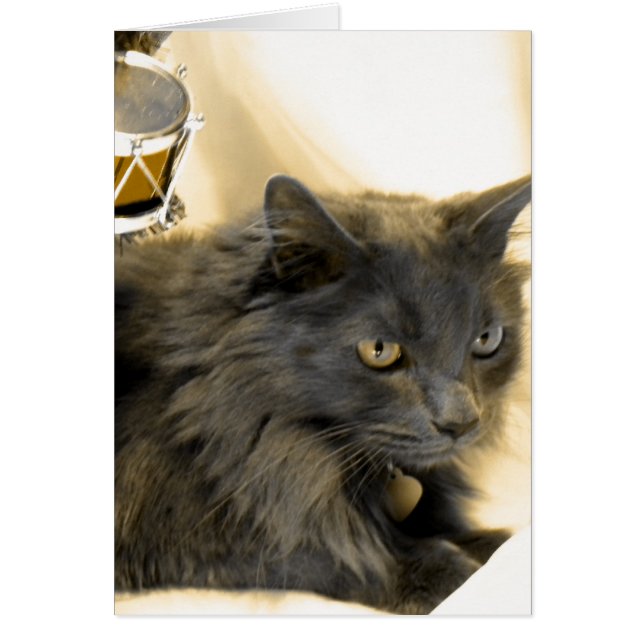 Grey Christmas Kitty IIII (Front)