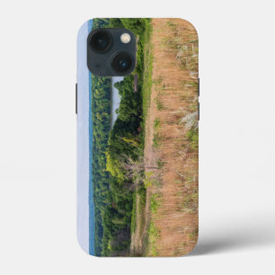 grey cloud dunes and mooers lake scenery iPhone 13 mini case