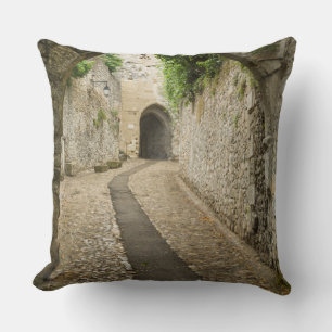 Grey Cobblestone street, France Throw Pillow