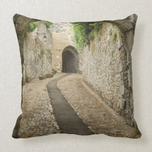 Grey Cobblestone street, France Throw Pillow