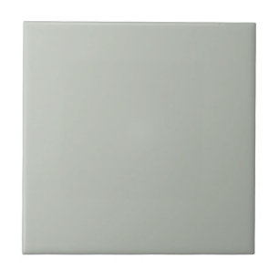Grey Comfort Square Kitchen and Bathroom Tile