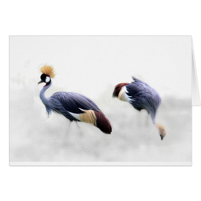 grey-crowned-crane (Front Horizontal)