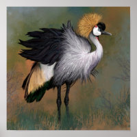 Grey Crowned Crane Bird Poster Painting