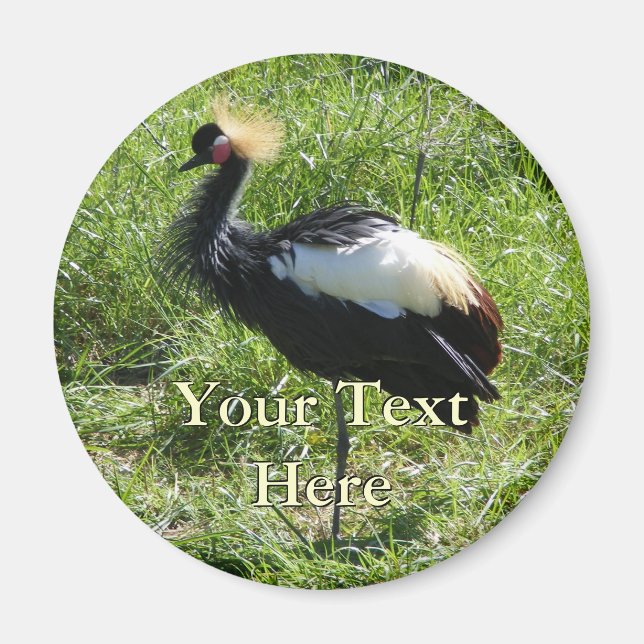 Grey Crowned Crane Magnet (Front)