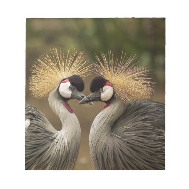 Grey Crowned Crane Notepad (Front)