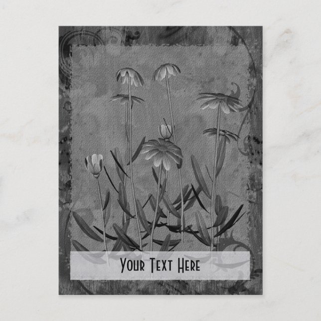 Grey Daisies Floral Customizable Postcard (Front)