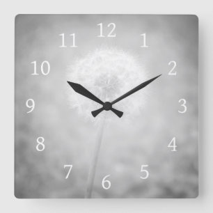 Grey Dandelion Photo 31 Square Wall Clock