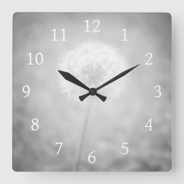 Grey Dandelion Photo 31 Square Wall Clock (Front)