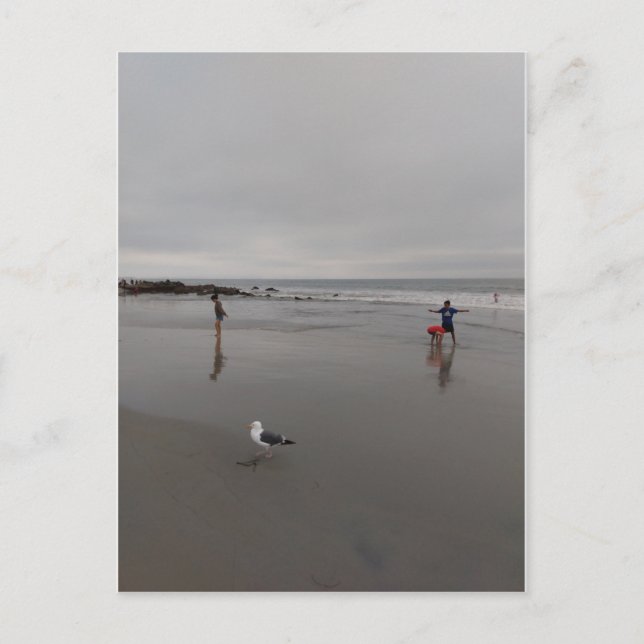 Grey day at the beach postcard (Front)