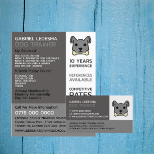 Grey Dog, Dog Trainer Advertising Flyer